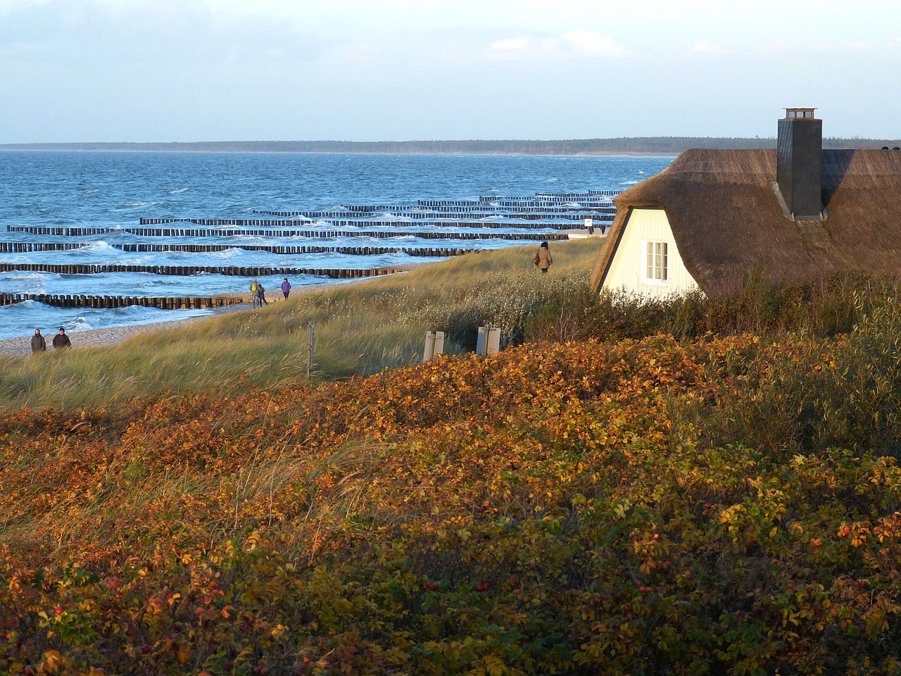 Strand von Ahrenshoop im Fischland Darß-Zingst