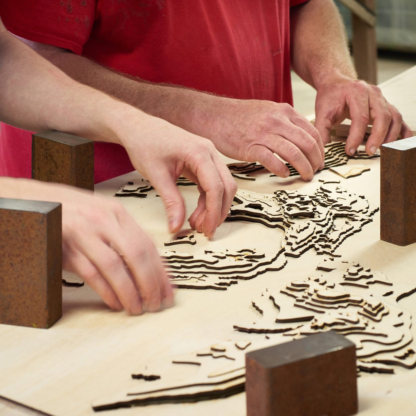 Schiermonnikoog | 3D-Holzkarte aus Holz von Cutting Brothers als Wandbild
